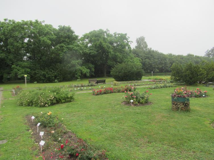 Ботанический сад в Минске