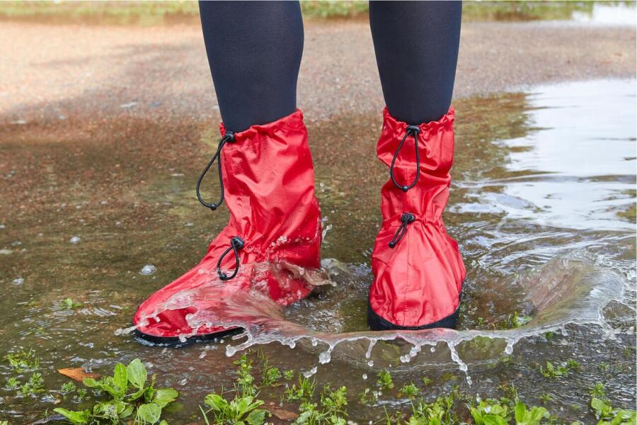 Вот так выглядят Пончи