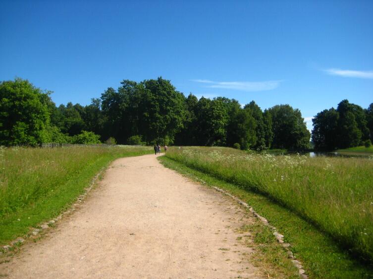 Сельская дорога в Тригорское