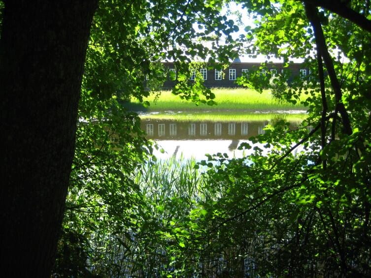 Пейзаж вокруг господского дома в Тригорском