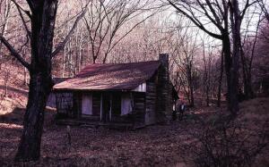 Как снимались «Зловещие мертвецы» - зомби в вишневом сиропе?