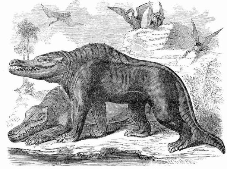 Мезозойская фауна в представлениях середины XIX в. На переднем плане изображены мегалозавры, реконструированные Р. Оуэном как четвероногие существа