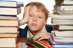 Из знаний можно построить настоящую крепость. Способы могут быть разными!