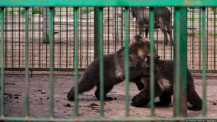 Что посмотреть в Ленобласти? Путешествуем рядом с домом