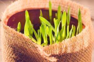 Чем знаменит модельер самой странной шубы?