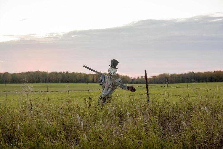 С наступлением осени, после сбора урожая, чучелу приносили дары в виде нескольких хороших плодов