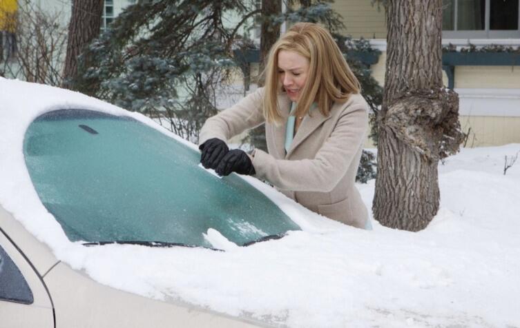 Кадр из фильма «Замерзшая из Майами»