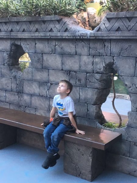 Почему у слона бывают грустные глаза?