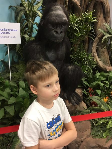 Почему у слона бывают грустные глаза?