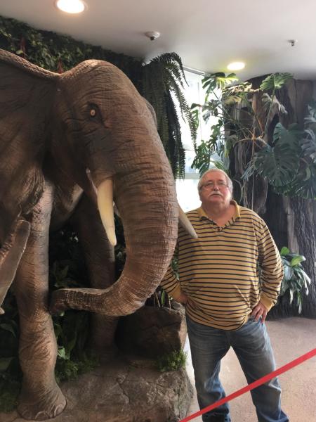 Почему у слона бывают грустные глаза?