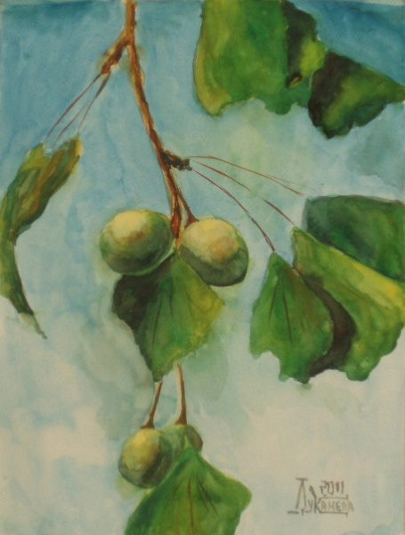 Лариса Луканева, «Гинкго Билоба», XX век