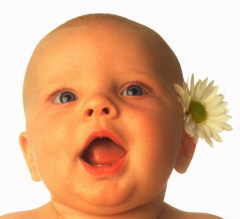 От каких домашних растений следует избавиться?