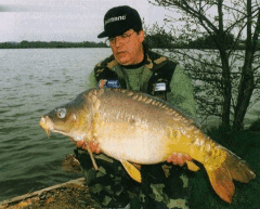 Как правильно ловить карпа?