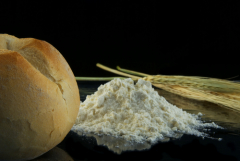 Современная биотехнология появилась после открытий Пастера и началась с производства стандартных заквасок для хлебопекарной и пивоваренной промышленности.