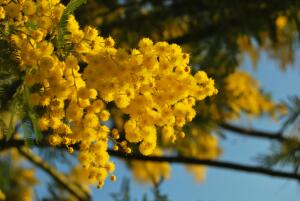 В чем заключается счастье?