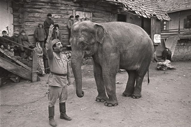 Кадр из к/ф «Солдат и слон», 1977 г. Фото: kinopoisk.ru