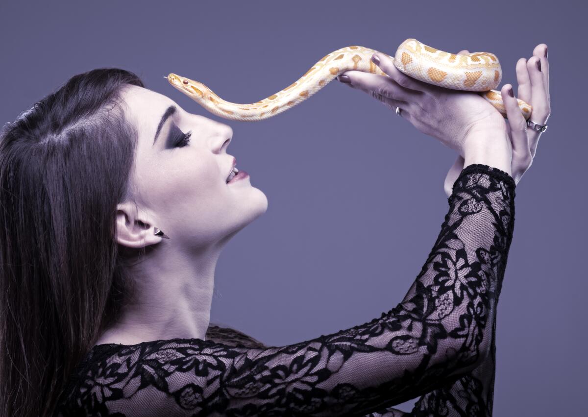 Держать змею в руках. Девушка со змеями. Девушка белая змея. Змея на руке у девушки.