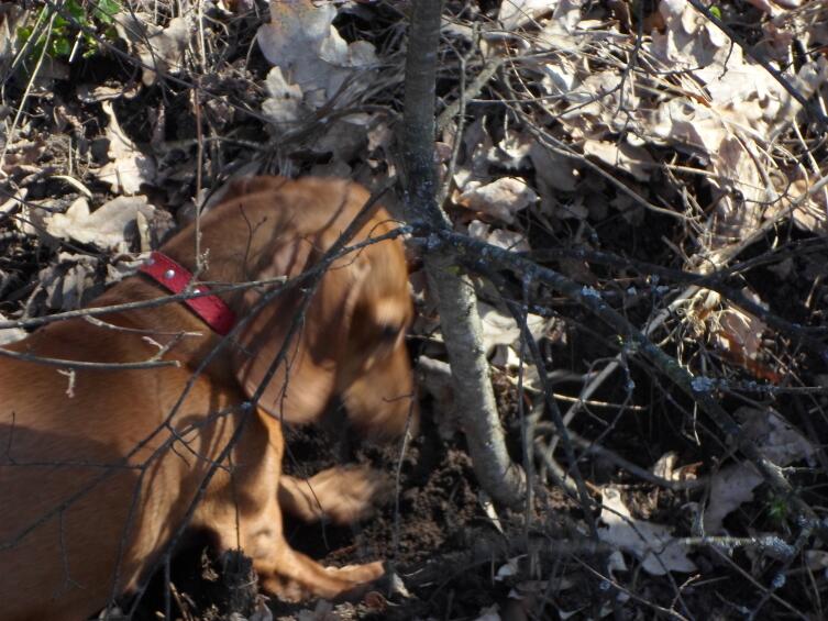 Как выглядит весна глазами Красавицы?