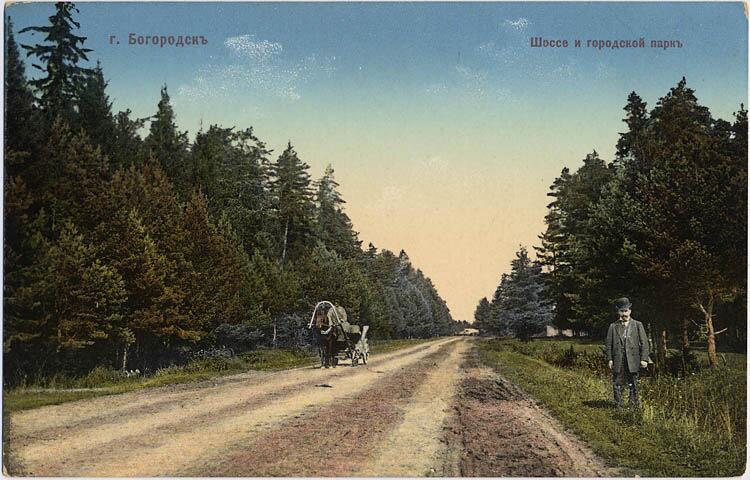 Шоссе проходящее через парк города Богородск