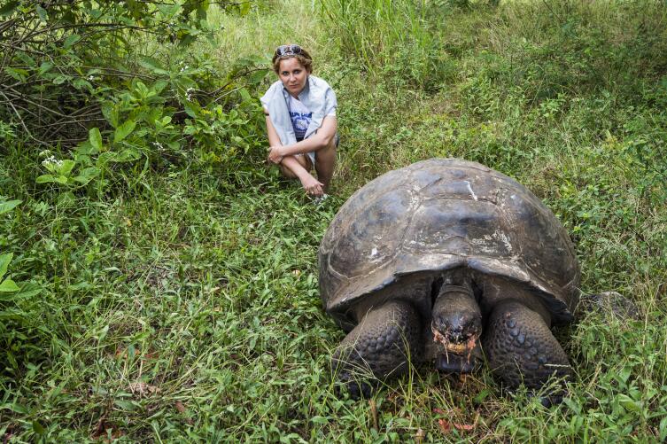 Как удалось сохранить популяцию галапагосских черепах?