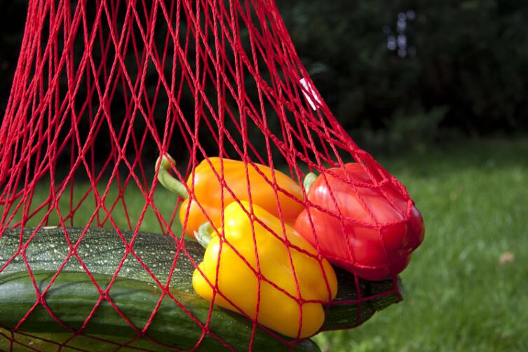 Чем запомнилась старшему поколению легендарная авоська?