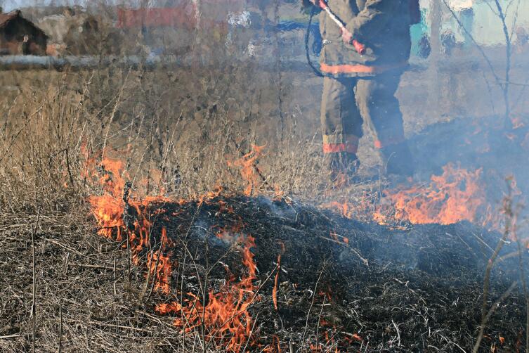 Лесные пожары. Какие они бывают?