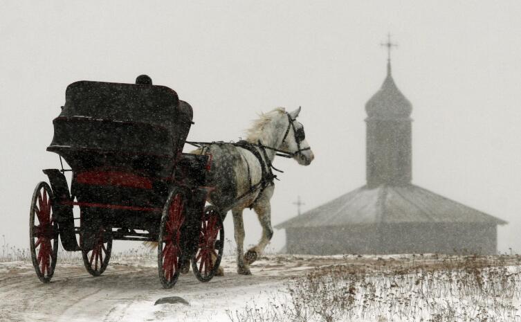 Сюжет вьетнамской сказки напоминает фильм ужасов