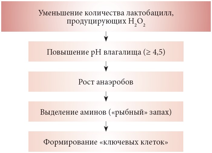 Лечение баквагиноза и молочницы. Все ли может АктиГель?