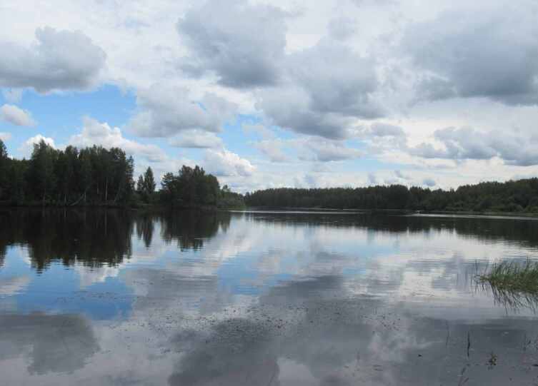 Река Суда. Вид от усадьбы