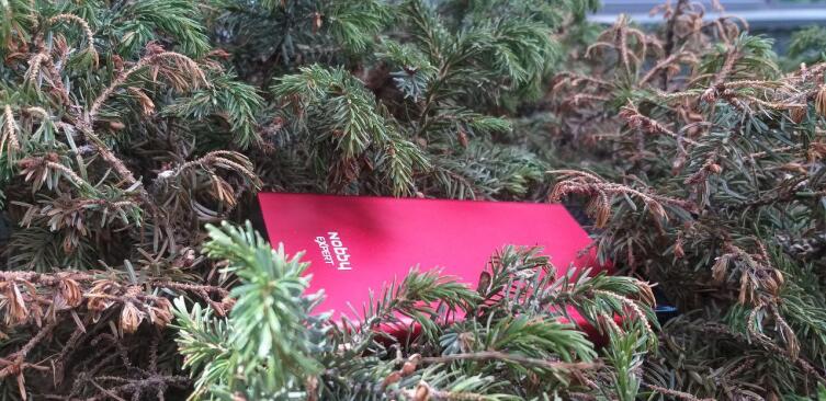 Что нужно взять с собой на пикник, в поход или на дачу? Что нужно взять с собой на пикник, в поход или на дачу?