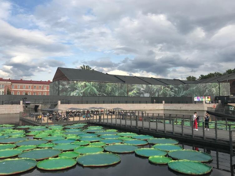 Пруд в Новой Голландии Пруд в Новой Голландии