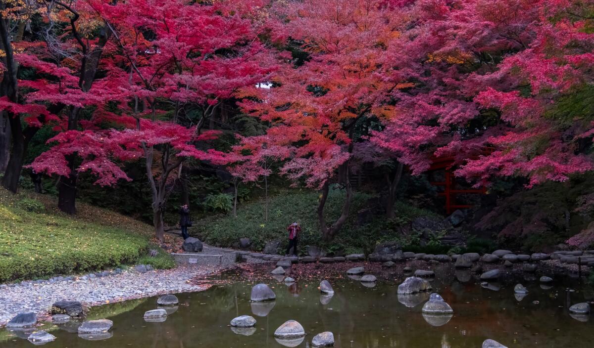 Почему япония популярна. Философия Японии. ПУ на японском. Японские красные башни. Картинки философия Японии природа.