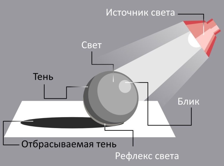 Как правильно рисовать дерево?