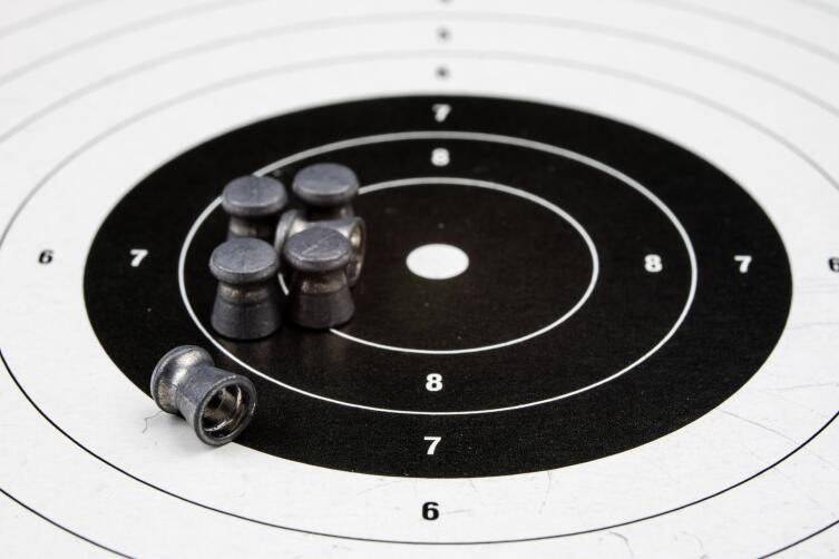 GAMO Viper Skeet. Чем необычна эта пневматическая винтовка?