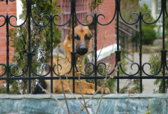 Кованые заборы могут снабжаться дополнительными защитными элементами, например сигнализацией или системой видеонаблюдения.