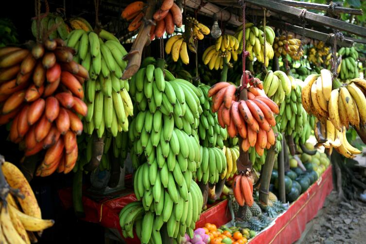 Чем полезны бананы? Вкусное лакомство на страже здоровья