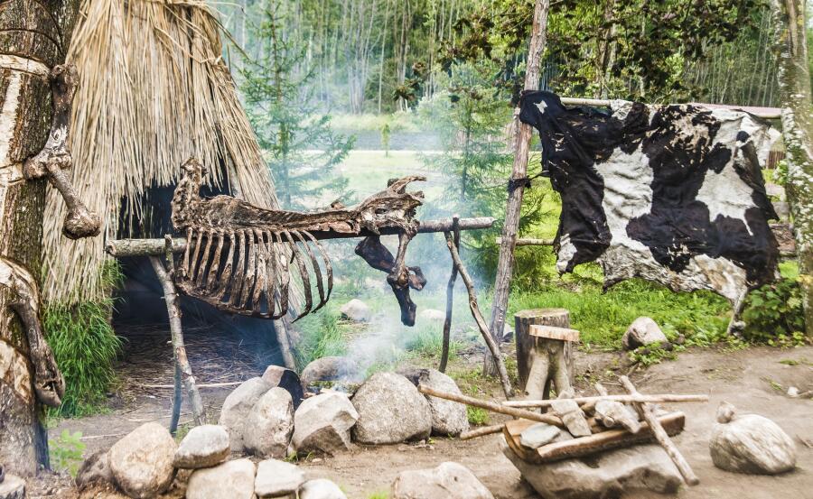 Что мы знаем о неандертальцах?
