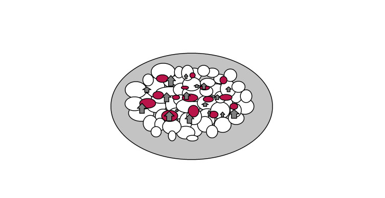 Что приготовить на Рождество — индейку или курочку?