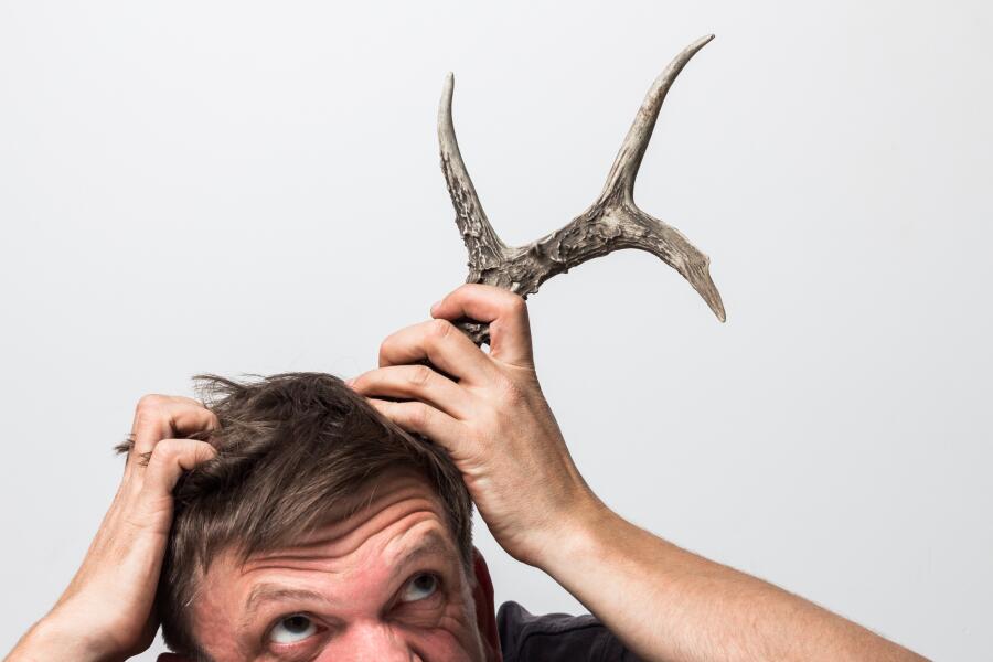 Олени и люди: откуда взялись «рогоносцы» и «куколдисты»?