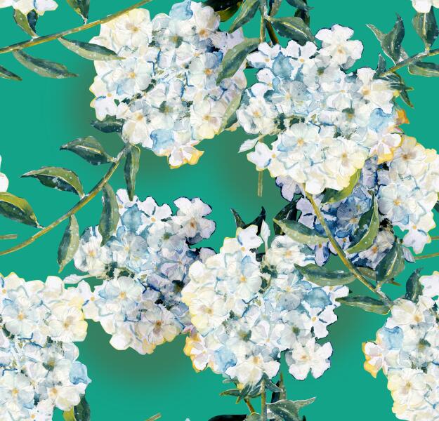 Как вырастить флоксы – ароматные цветы лета?