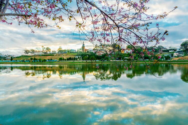 Утро в Камрани Утро в Камрани