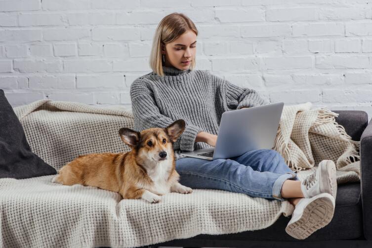 Как пережить карантин, объявленный в связи с эпидемией коронавируса? Как пережить карантин, объявленный в связи с эпидемией коронавируса?