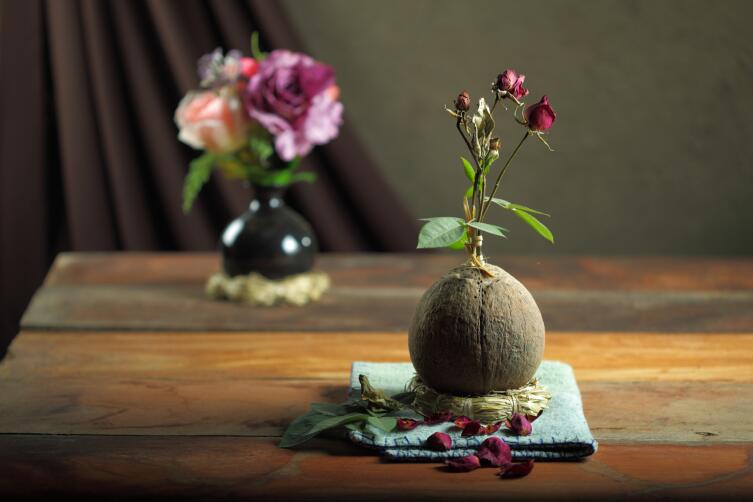 Какие растения стоит убрать из квартиры, чтобы избавиться от бед, неудач и безденежья? Какие растения стоит убрать из квартиры, чтобы избавиться от бед, неудач и безденежья?