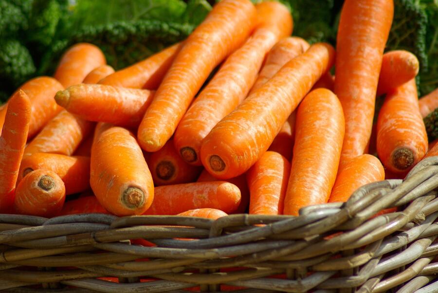 Какие блюда приготовить из моркови?