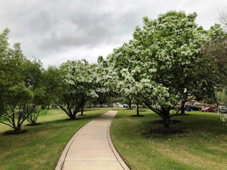 Прогулочная зона в нашей деревне