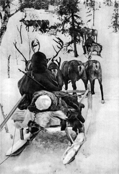 Эвакуация раненых