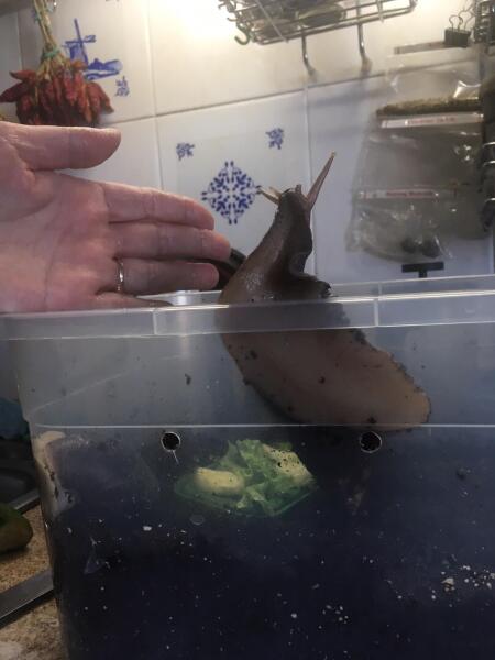 И почему я не биолог?