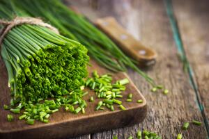 Какие блюда можно приготовить из зеленого лука?