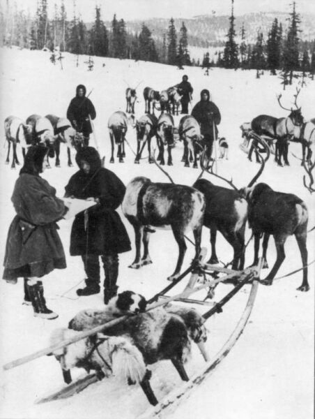 Бойцы-оленеводы Карельского фронта у олених упряжек