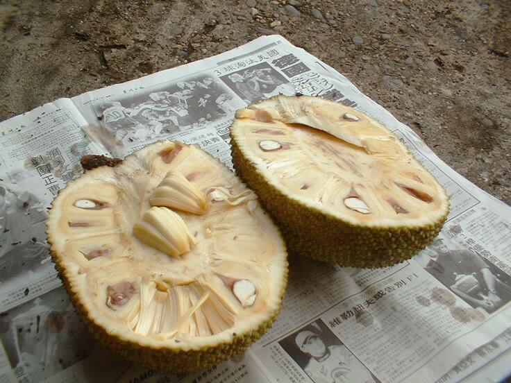 Плод джекфрута в разрезе